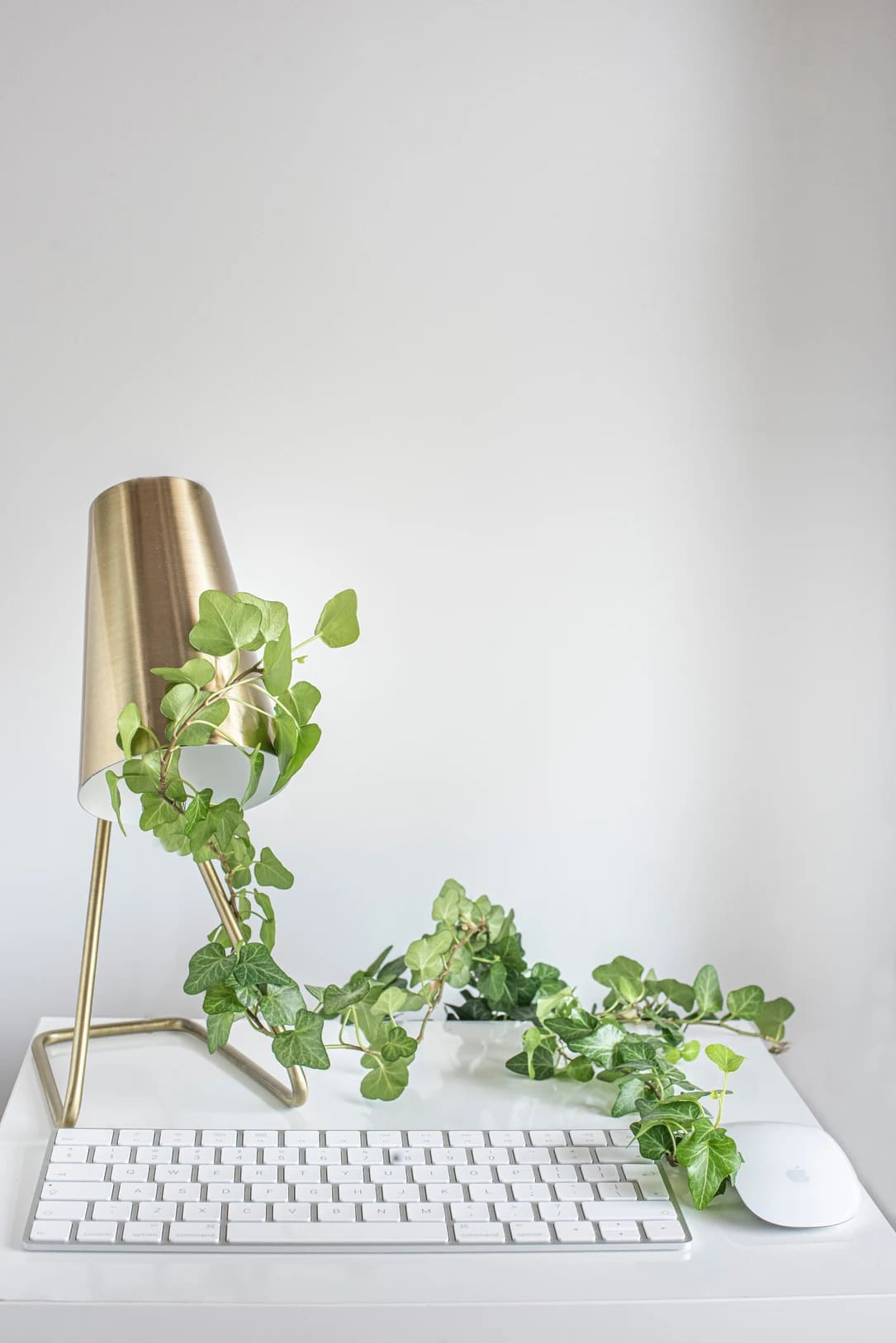 A gold lamp with ivy on top of it.