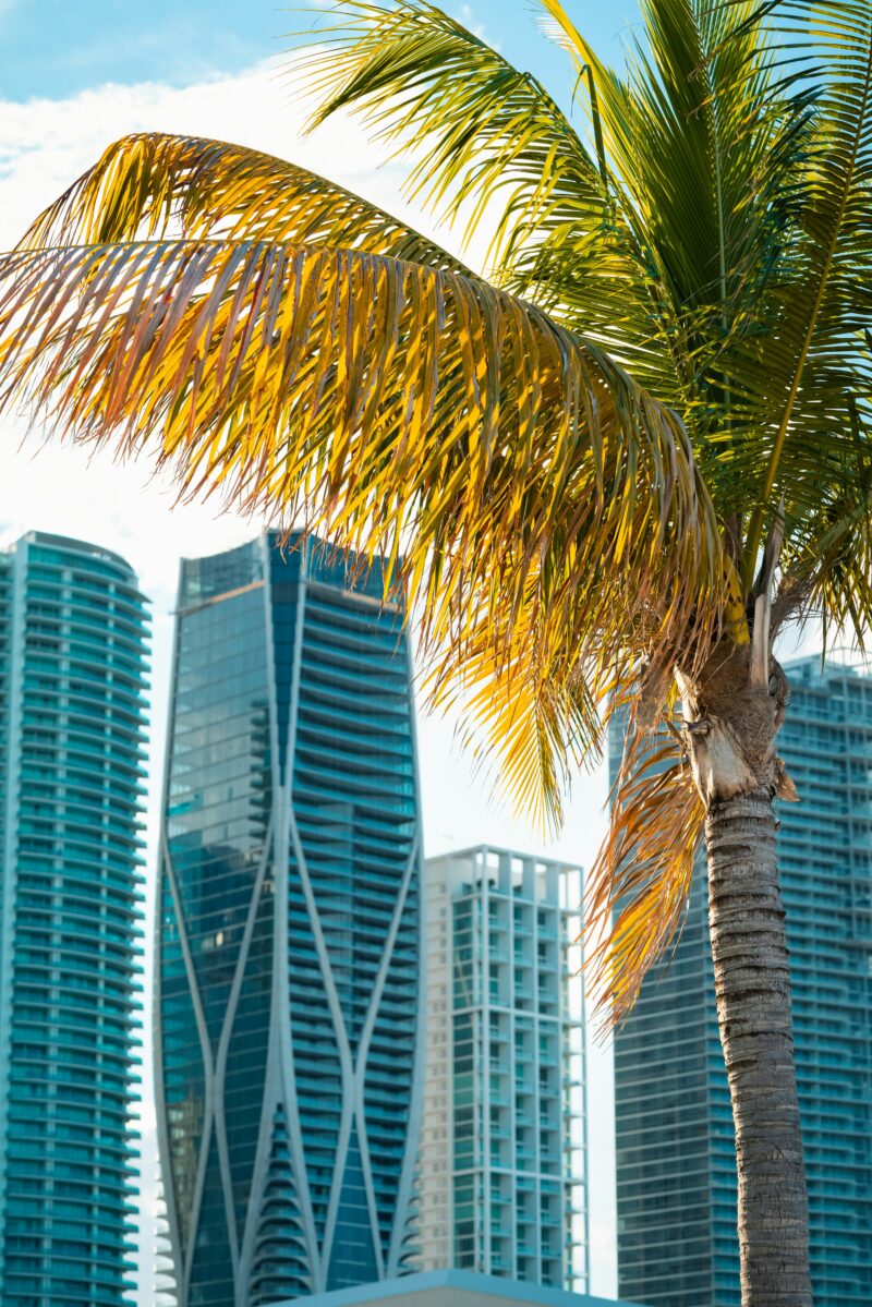 Downtown Miami Commercial Cleaning (33131) – Financial District & High-Rise Office Experts